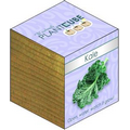 Plant Cube- Kale